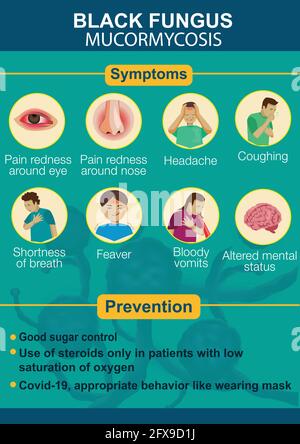 Infografiken zur schwarzen Pilzerkrankung. Symptome und Prävention. vektor-Illustration-Design Stock Vektor