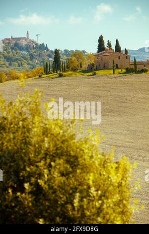 Landschaft mit Bäumen in der Toskana, Italien im Sommer. Stockfoto