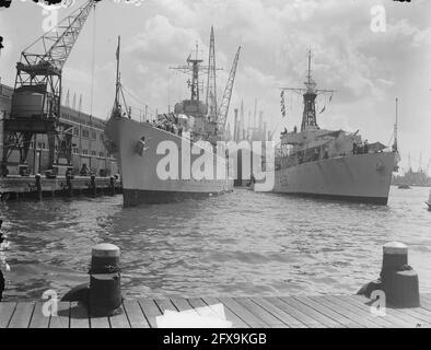 Britische Torpedo-Bootstau St. Kitts und britische Fregatte Loch Alvie in Javakade, 15. Juli 1950, Fregatten, Torpedo-Boote, Niederlande, Presseagentur des 20. Jahrhunderts, Foto, Nachrichten zum erinnern, Dokumentarfilm, historische Fotografie 1945-1990, visuelle Geschichten, Menschliche Geschichte des zwanzigsten Jahrhunderts, Momente in der Zeit festzuhalten Stockfoto