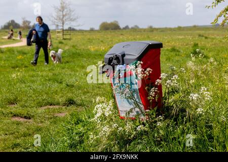 Ein Abfalleimer überfüllt mit Hundebeuteln. Stockfoto