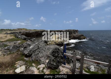 Klippe in der Nähe der Animal Flower Cave, St. Lucy, Barbados. Stockfoto