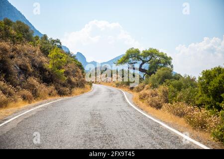 Eine malerische schmale asphaltierte Straße im Termessos Nationalpark in der Türkei. Wunderschöne Zeder und Kiefern im Frühling Stockfoto