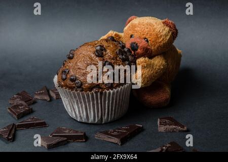 teddybär mit Schokoladenmuffins Stockfoto