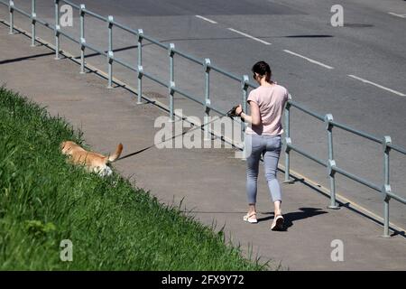 Schlankes Mädchen, das einen Hund auf einer Straße läuft. Frau mit Haustier in der Sommerstadt Stockfoto