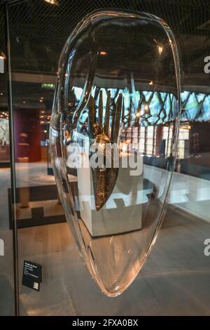 DIE MARC LADREIT DE LACHARRIERE KOLLEKTION IM PARISER MUSEE DU QUAI BRANLY, PARIS Stockfoto