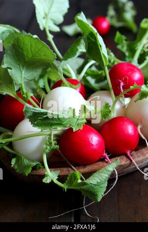 Ein Haufen weißer und roter Radieschen auf einem Holztisch. Draufsicht. Gesunde Ernährung. Stockfoto