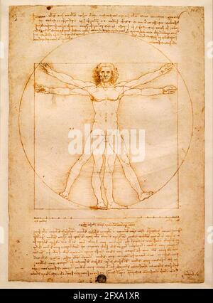 Italien, Venedig, Gallerie dell'Accademia, Leonardo da Vinci, vitruvianischer Mann Stockfoto