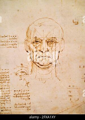 Italien, Turin, Biblioteca reale, Leonardo da Vinci, Studie der Proportionen des menschlichen Körpers Stockfoto