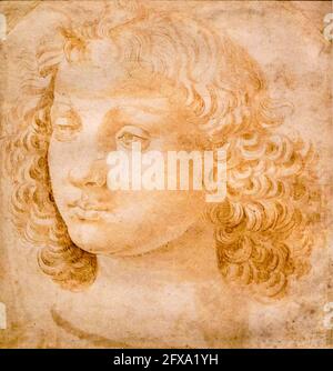 USA, New York, The Morgan Library & Museum, Leonardo da Vinci, Studie des Leiters eines jungen Mannes Stockfoto
