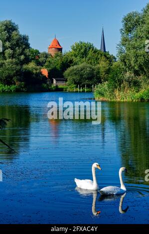 Dannenberg (Elbe): Blick über Thielenburger See auf Waldemarturm und Kirchturm St. Johannis, Landkreis Lüchow-Dannenberg, Niedersachsen Stockfoto