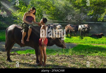 Paar Bauer im Bauernanzug mit Büffel, Thailand Landschaft Stockfoto