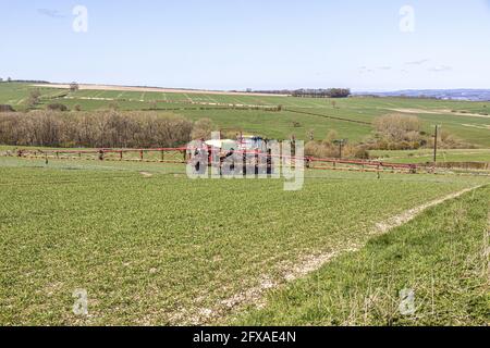 Eine Traktorernte, die auf die Yorkshire Wolds in der Nähe von Wharram le Street, North Yorkshire, England, sprüht Stockfoto