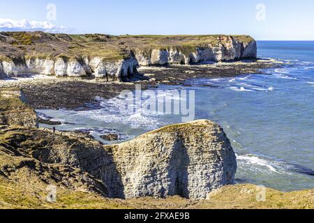 Die Kreidefelsen in Flamborough Head, East Riding of Yorkshire, England Stockfoto