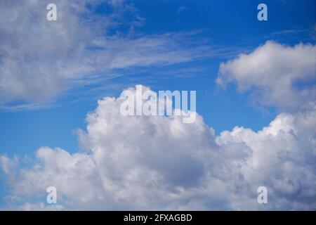 Cumulus Wolken im blauen Himmel Stockfoto