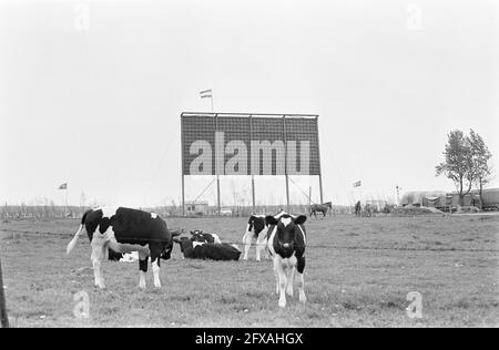 Drive in Cinema in Drouwen, Drente, 27. Mai 1969, Kinos, Niederlande, Presseagentur des 20. Jahrhunderts, Foto, Nachrichten zum erinnern, Dokumentarfilm, historische Fotografie 1945-1990, visuelle Geschichten, Menschliche Geschichte des zwanzigsten Jahrhunderts, Momente in der Zeit festzuhalten Stockfoto