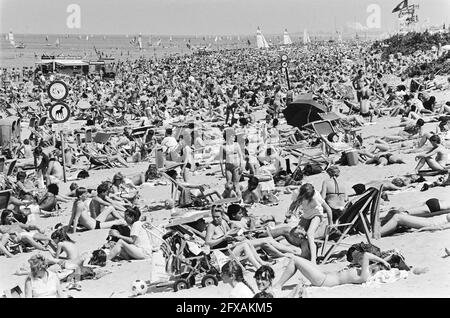 Menge am Strand von Zandvoort wegen schönem Wetter, 31. Mai 1982, Strände, Niederlande, 20. Jahrhundert Presseagentur Foto, Nachrichten zu erinnern, Dokumentarfilm, historische Fotografie 1945-1990, visuelle Geschichten, Menschliche Geschichte des zwanzigsten Jahrhunderts, Momente in der Zeit festzuhalten Stockfoto