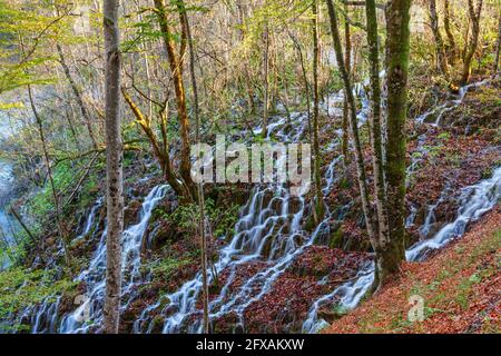 Nationalpark Plitvice, Kroatien. Herbstansicht des Wassers, das an einem der vielen Seen durch den Wald fließt. Stockfoto