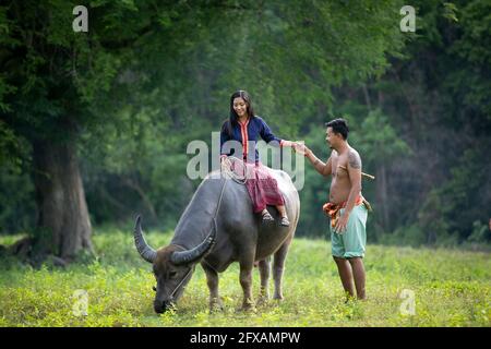 Paar Bauer im Bauernanzug mit Büffel, Thailand Landschaft Stockfoto