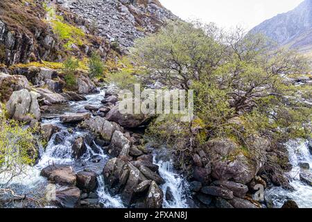 Oberer Teil der Ogwen Falls von der Pont Pen-y-Benglog Bridge, Llyn Ogwen, Snowdonia National Park, Wales. Stockfoto