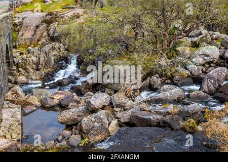 Oberer Teil der Ogwen Falls von der Pont Pen-y-Benglog Bridge, Llyn Ogwen, Snowdonia National Park, Wales. Stockfoto