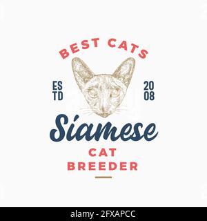 Katzenzüchter-Abzeichen oder Logo-Vorlage. Handgezeichnete Siam Breed Face Sketch mit Retro Typografie. Hochwertiges Vintage-Emblem. Isoliert Stock Vektor