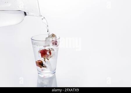 Glas Wasser mit gefrorenen Rosen in Eiswürfeln Weißer Hintergrund Stockfoto