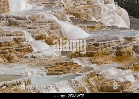 Yellowstone - Nahaufnahme des Canary Spring, Wyoming, USA Stockfoto