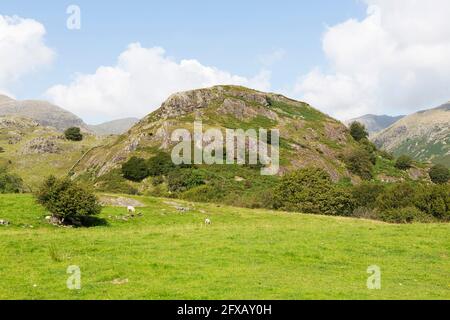 Blick auf den alten Mann von Coniston in Cumbria, England. Der Rundweg zum Gipfel des Alten Mannes von Coniston gilt als einer der beliebtesten Stockfoto