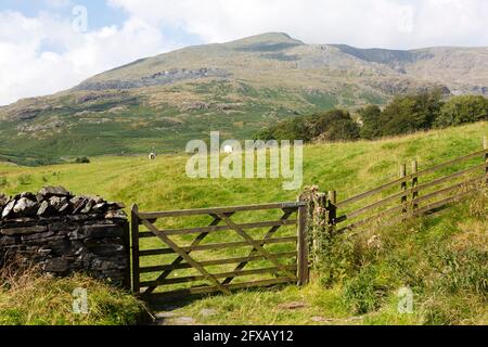 Tor zu einem Feld unter dem alten Mann von Coniston in Cumbria, England. Die Ländervorwahl ermutigt Wanderer, Tore zu schließen, während sie sich im Land befinden. Stockfoto