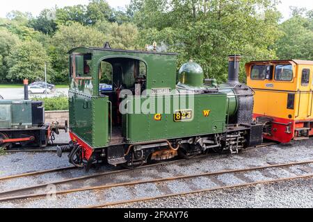 Die Gräfin-Lokomotive im Nebengleis, Llanfair Caereinion Station, Welshpool & Llanfair Light Railway, Powys, Wales. Stockfoto