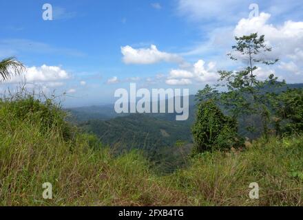 Blick von der Crocker Range auf Kota Kinabalu und die Küste Crocker Range NP, Sabah, Borneo Januar Stockfoto