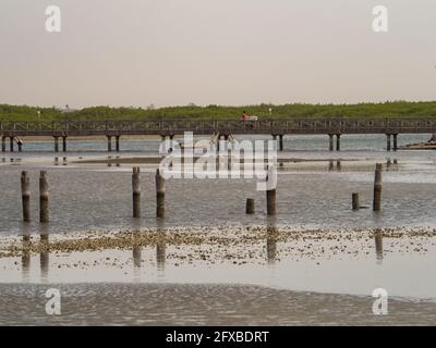 Joal-Fadiouth, Afrika - Jan, 2019: Holzbrücke zwischen Joal und Fadiouth. Mangroven im Hintergrund. Die Region Thiès am Ende der Petite Côt Stockfoto