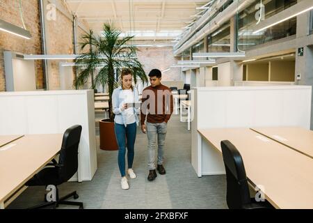 Männliche und weibliche Unternehmer diskutieren über digitale Tablets, während sie im Büro gehen Stockfoto