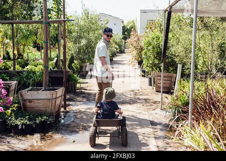 Lächelnder Vater zieht Sohn in Schubkarre während sonnigen Tages in der Pflanzenkinderei Stockfoto