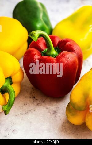 Studio Schuss von roten, grünen und gelben Paprika Stockfoto