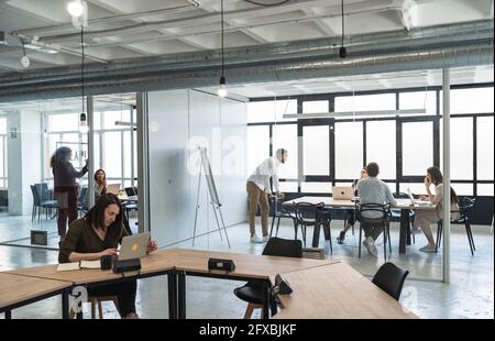 Multiethnische Gruppe von männlichen und weiblichen Berufstätigen, die im Büro arbeiten Stockfoto