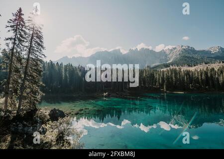 Karersee bei Bäumen an sonnigen Tagen in Südtirol, Italien Stockfoto