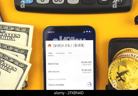 SHINA INU Canine Krypto-Währung Münze, Online-Banking, Handel und Austausch Krypto-Währung, virtuelles Geld-Konzept, Business-Workspace Hintergrund, top V Stockfoto