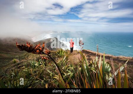 Ein einesiger Mann, der den Blick auf den Pazifischen Ozean vom Rand der Küstenklippe am Cape Reinga bewundert Stockfoto