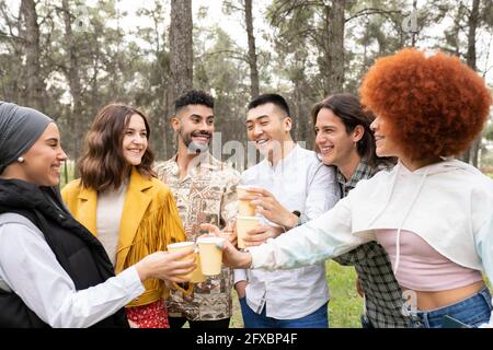 Fröhliche männliche und weibliche Freunde, die beim Feiern im Wald eine Brille toasten Stockfoto