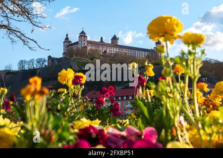 Deutschland, Würzburg, blühende Blumen in der Stadt mit Festung Marienberg, Kappele und Alte Mainbrücke im Hintergrund Stockfoto