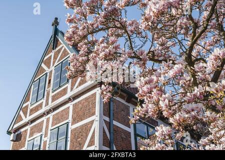 Deutschland, Altes Land, Jork, Jork Rathaus im Frühjahr Stockfoto