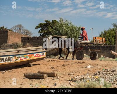 Nianing, Senegal - Januar 24, 2019: senegalesischen Junge reitet auf einem Wagen mit weißem Pferd am Strand, ein beliebtes Verkehrsmittel weg in Afrika Stockfoto