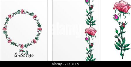 Eine Reihe von Postkarten mit Rosenblumen. Rosa Blüten. Rose. Stock Vektor