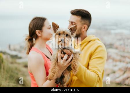 Junges Paar, das den Hund yorkshire Terrier in der Hand hält, während es sich anschaut Stockfoto