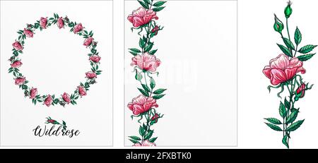 Eine Reihe von Postkarten mit Rosenblumen. Rosa Blüten. Rose. Stock Vektor