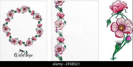 Eine Reihe von Postkarten mit Rosenblumen. Rosa Blüten. Rose. Stock Vektor