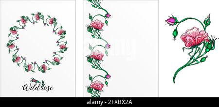 Eine Reihe von Postkarten mit Rosenblumen. Rosa Blüten. Rose. Stock Vektor