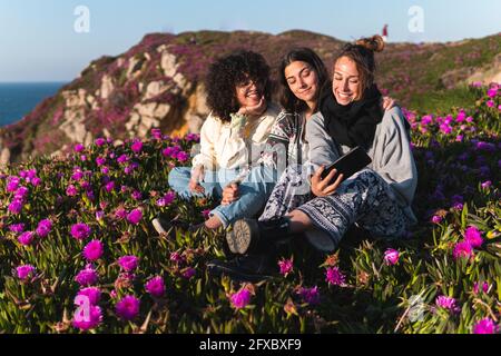 Weibliche Freunde sitzen auf dem Blumenfeld von Carpobrotus Edulis Stockfoto