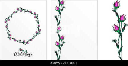 Eine Reihe von Postkarten mit Rosenblumen. Rosa Blüten. Rose. Stock Vektor